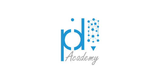 pid-academy 