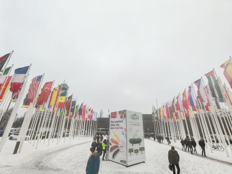 Fiera Fruit Logistica Berlino 2026