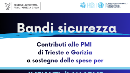 Bando videosorveglianza 25-26