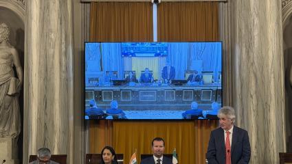 Sala Maggiore Country Presentation INDIA