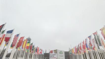 Fiera Fruit Logistica Berlino 2026